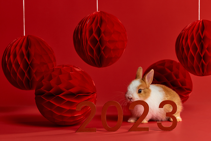 公司年會(huì)布置現(xiàn)場圖片